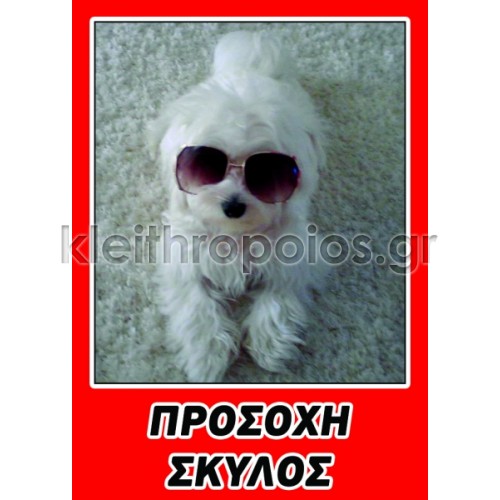 Ταμπέλα Προσοχή σκύλος - εικόνα επιλογής πελάτη νο1 Ταμπέλες - επιγραφές - αυτοκόλλητα
